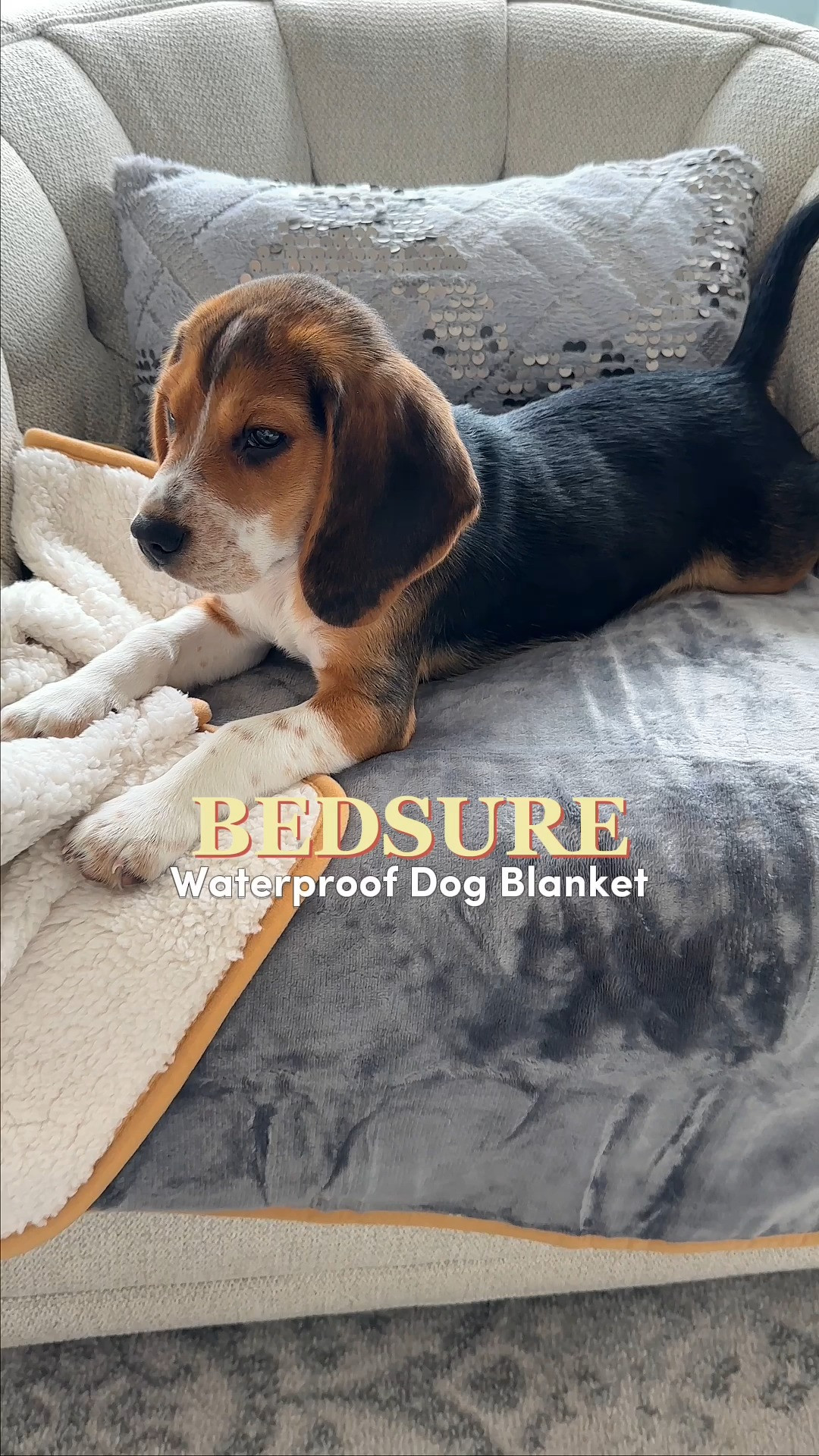 Save your sofa and snuggle up! 🛋️ The Bedsure Waterproof Blanket is incredibly durable and machine washable, making it perfect for car rides, camping trips, or protecting your duvet from "zoomie" dirt. This product is good for pet parents dealing with senior dog accidents, messy chewers, or those rainy day muddy paws! 🐕#LTKPets #LTKHome #LTKunder40 #Bedsure BedsureHome #DogLife #HomeHacks #PetEssentials #DogTravel #WaterproofBlanket #PetFriendlyHome 

#LTKmomlife #LTKHome