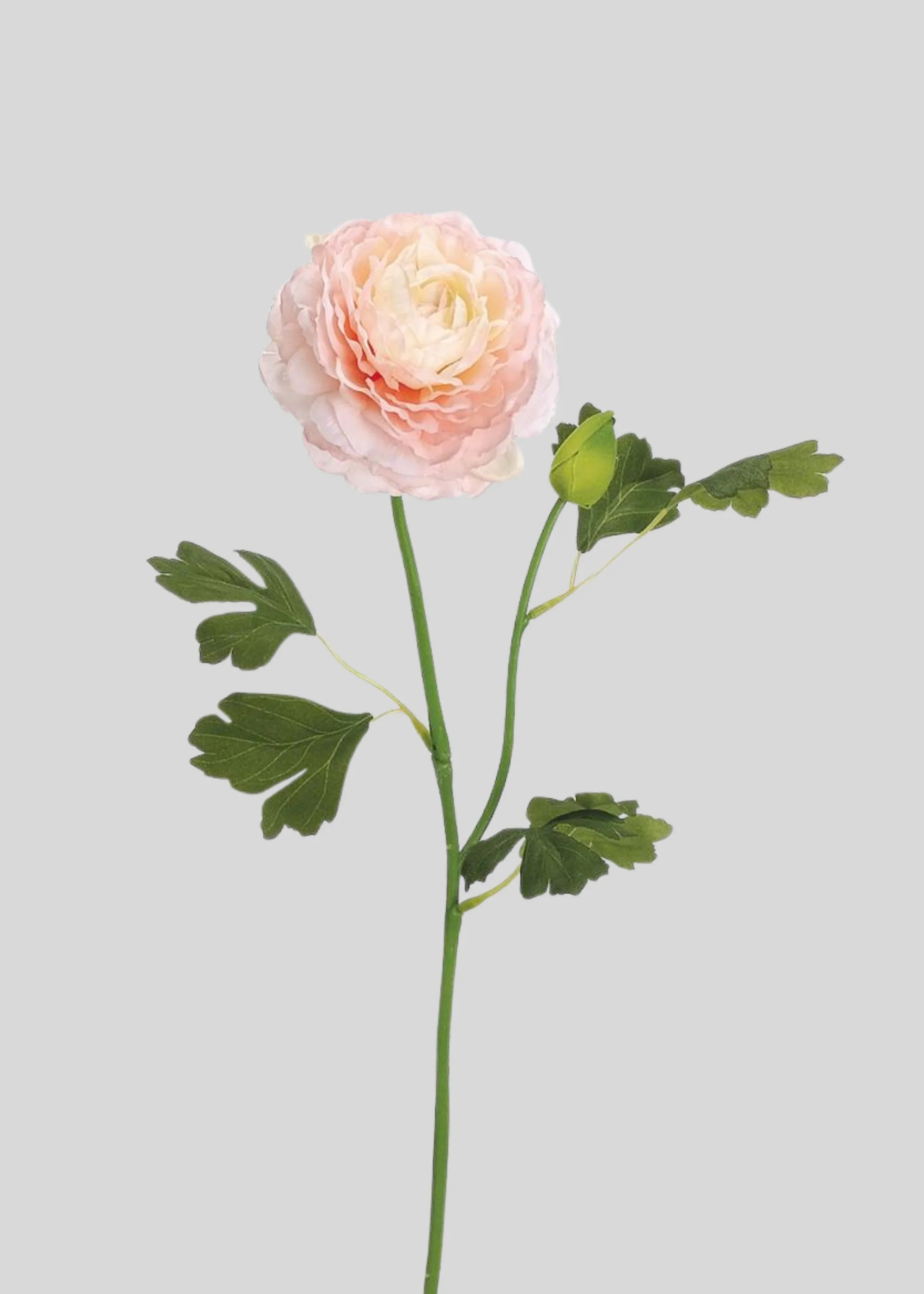 Soft Pink Artificial Ranunculus Flower - 19 | Afloral