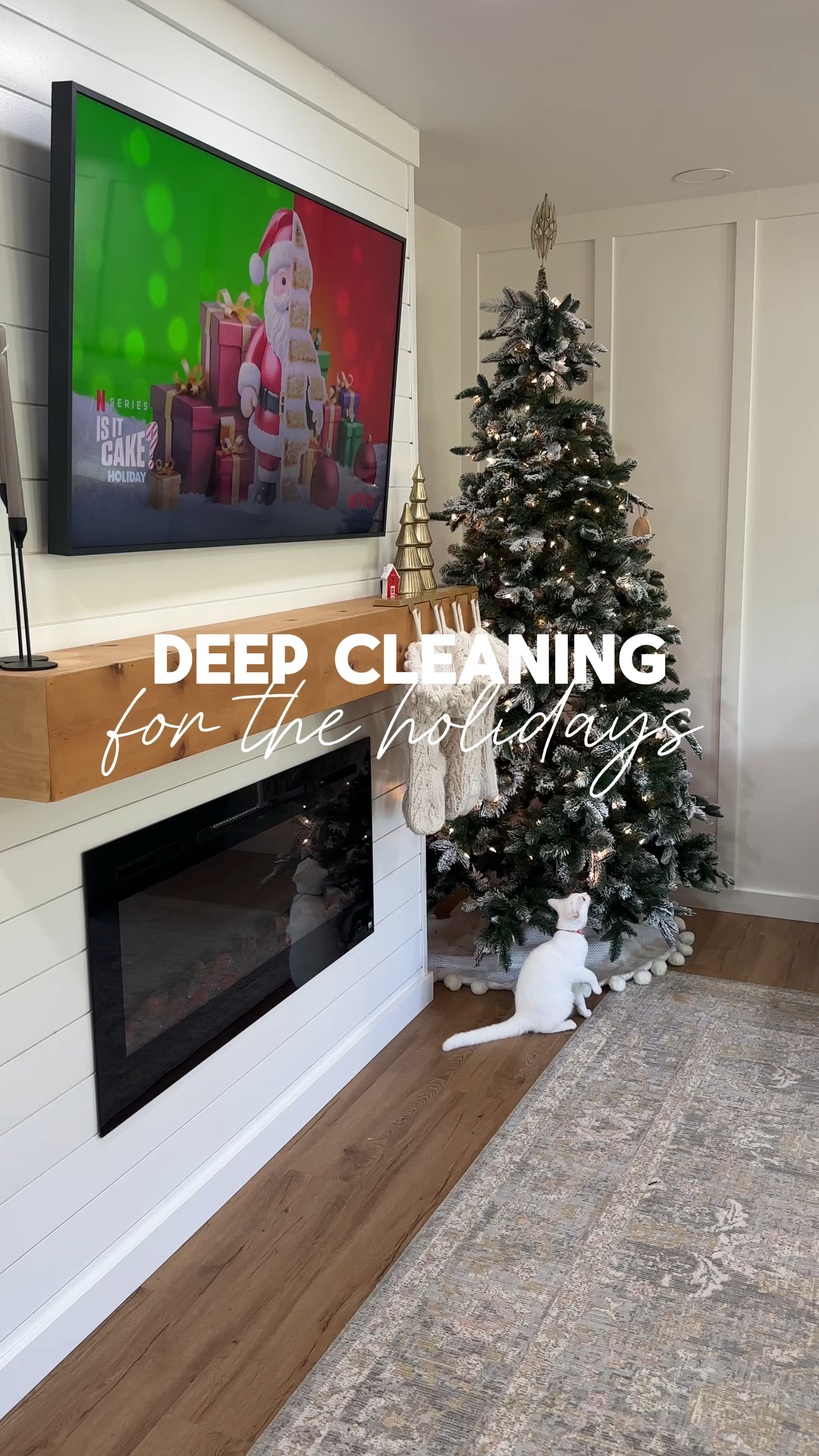 Deep cleaning couches for the holidays 

Carpet cleaner 
Cleaning
Deep clean 


#LTKHome #LTKHoliday #LTKCyberWeek