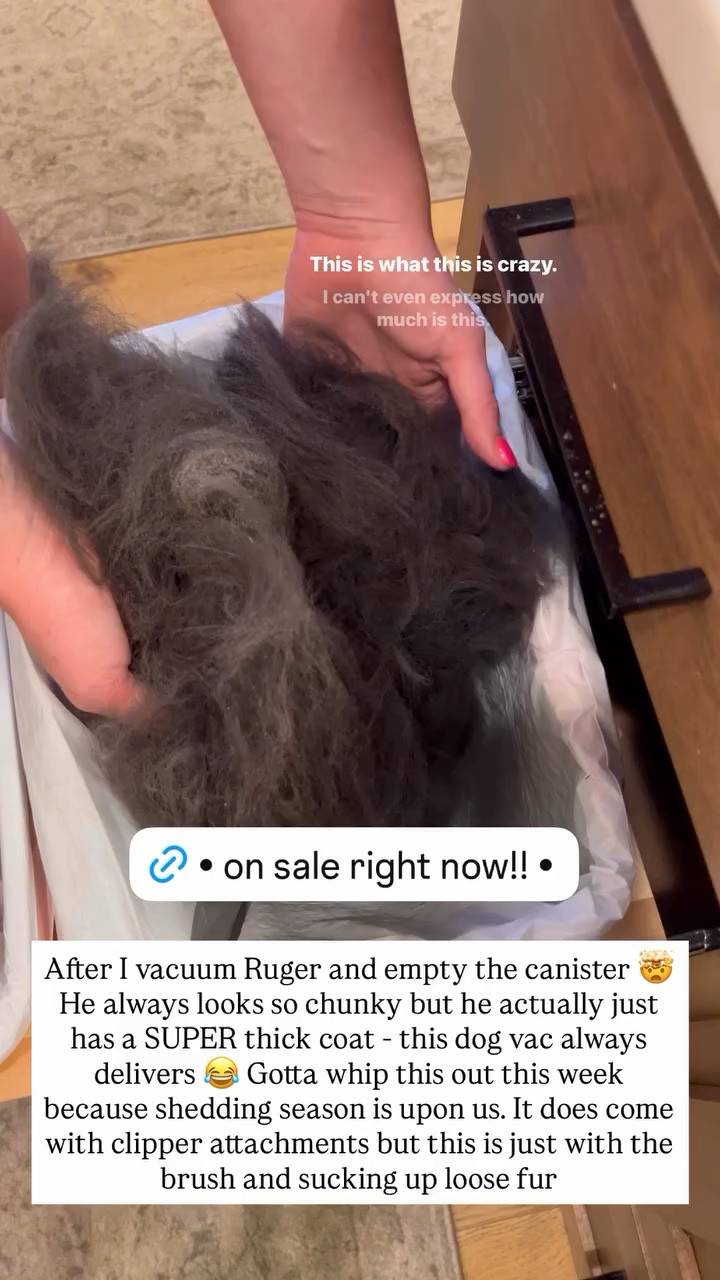 After I vacuum Ruger and empty the canister 🤯 He always looks so chunky but he actually just has a SUPER thick coat - this dog vac always delivers 😂 Gotta whip this out this week because shedding season is upon us. It does come with clipper attachments but this is just with the brush and sucking up loose fur
