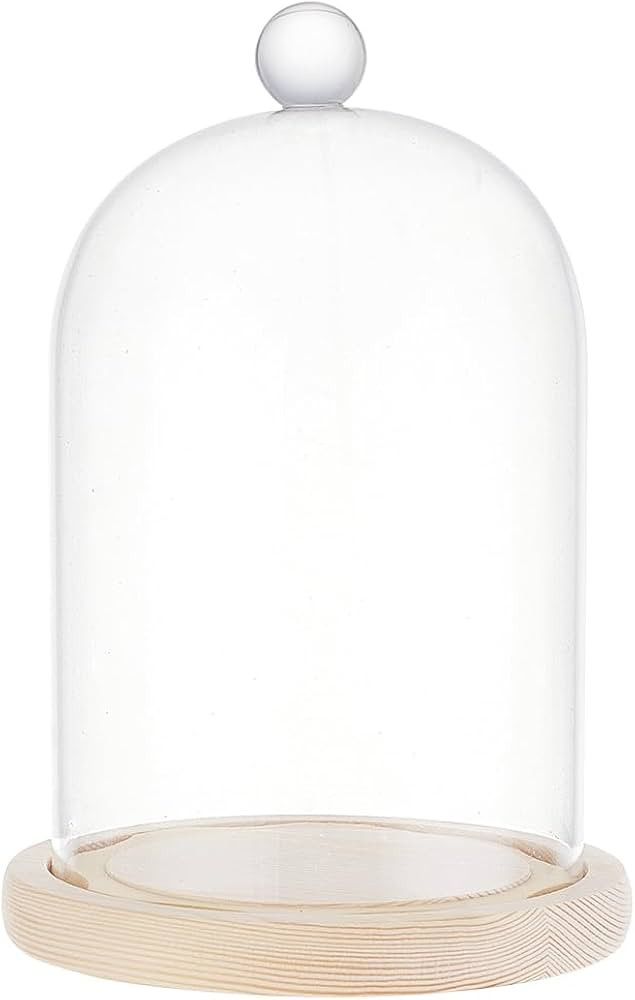 BENECREAT 8x4.5inch Glass Display Dome Inch Cloche Dome with Base Clear Dustproof Dome with Handl... | Amazon (US)