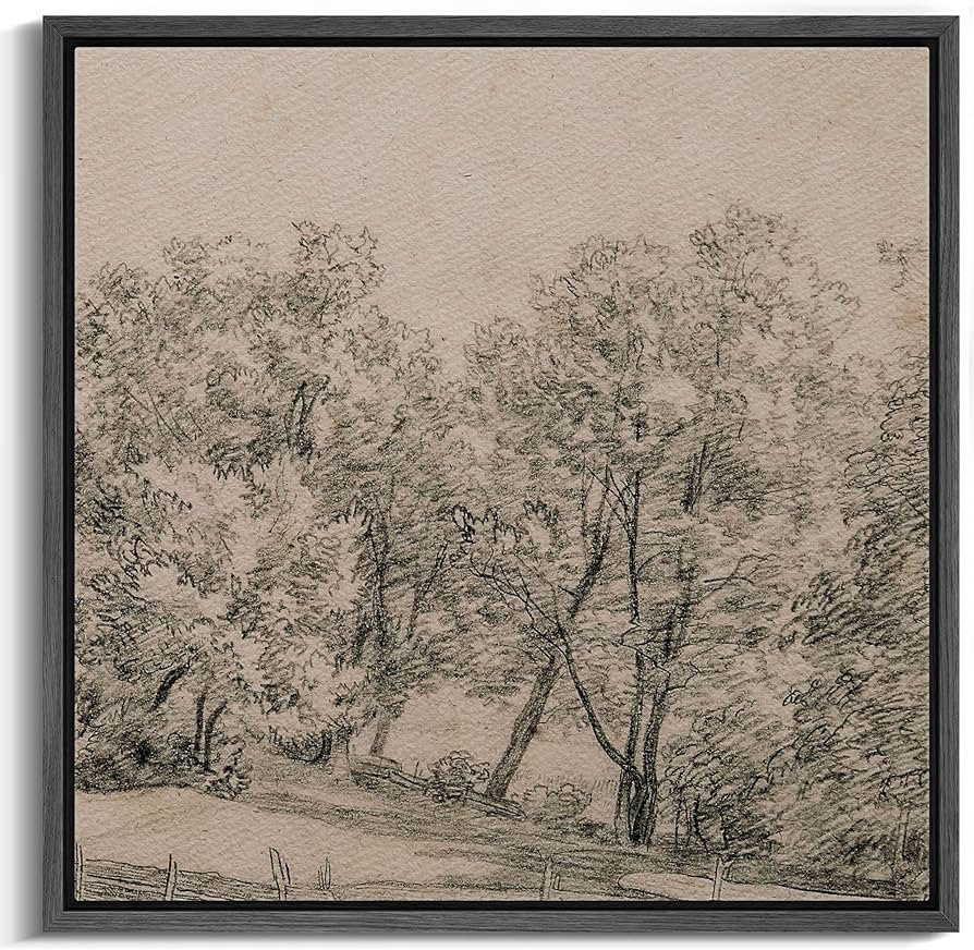 MUDECOR Framed Canvas Print Wall Art Vintage Rustic Forest Sketch - Vintage Drawing Illustrations... | Amazon (US)