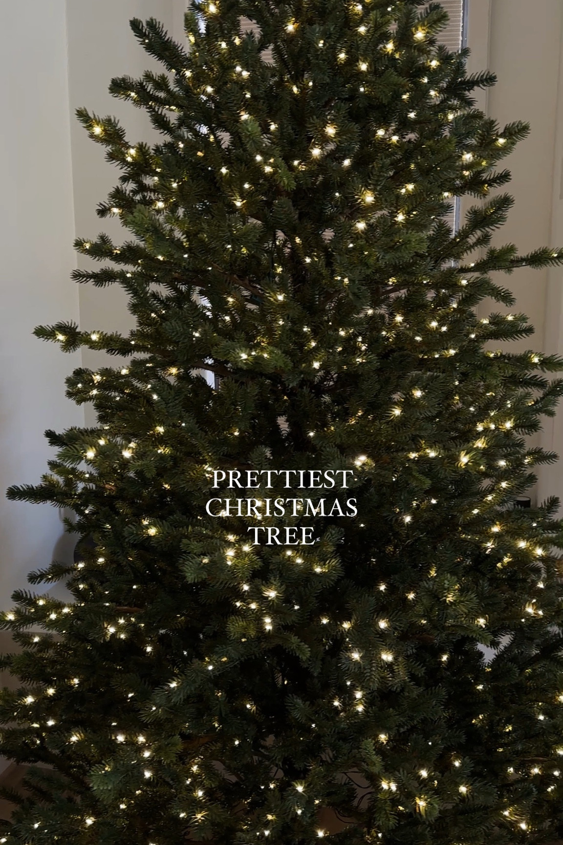 Prettiest Christmas tree 

#LTKHoliday #LTKSeasonal
