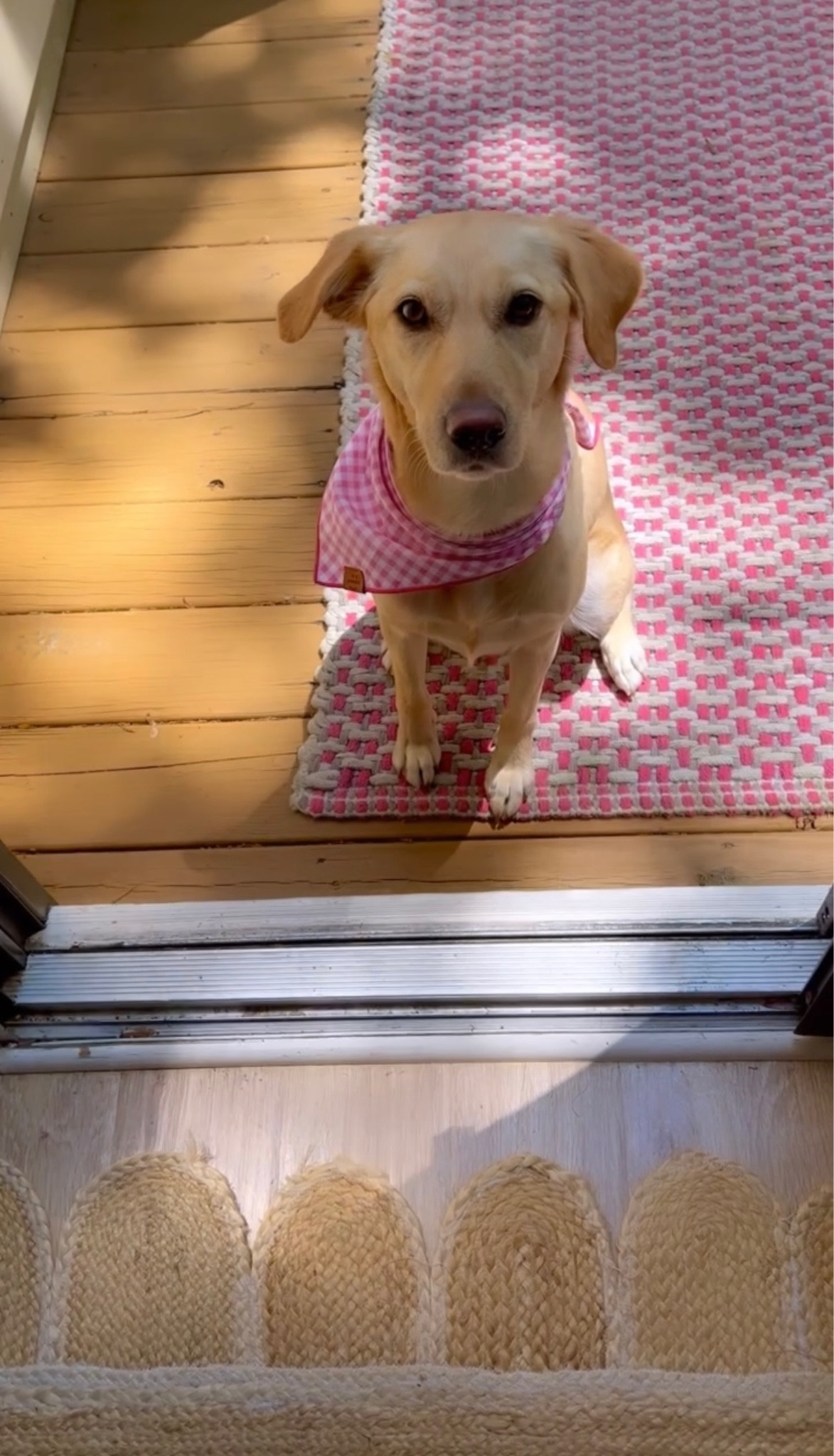 kitchen and back deck rugs 💕

#LTKSeasonal #LTKhome