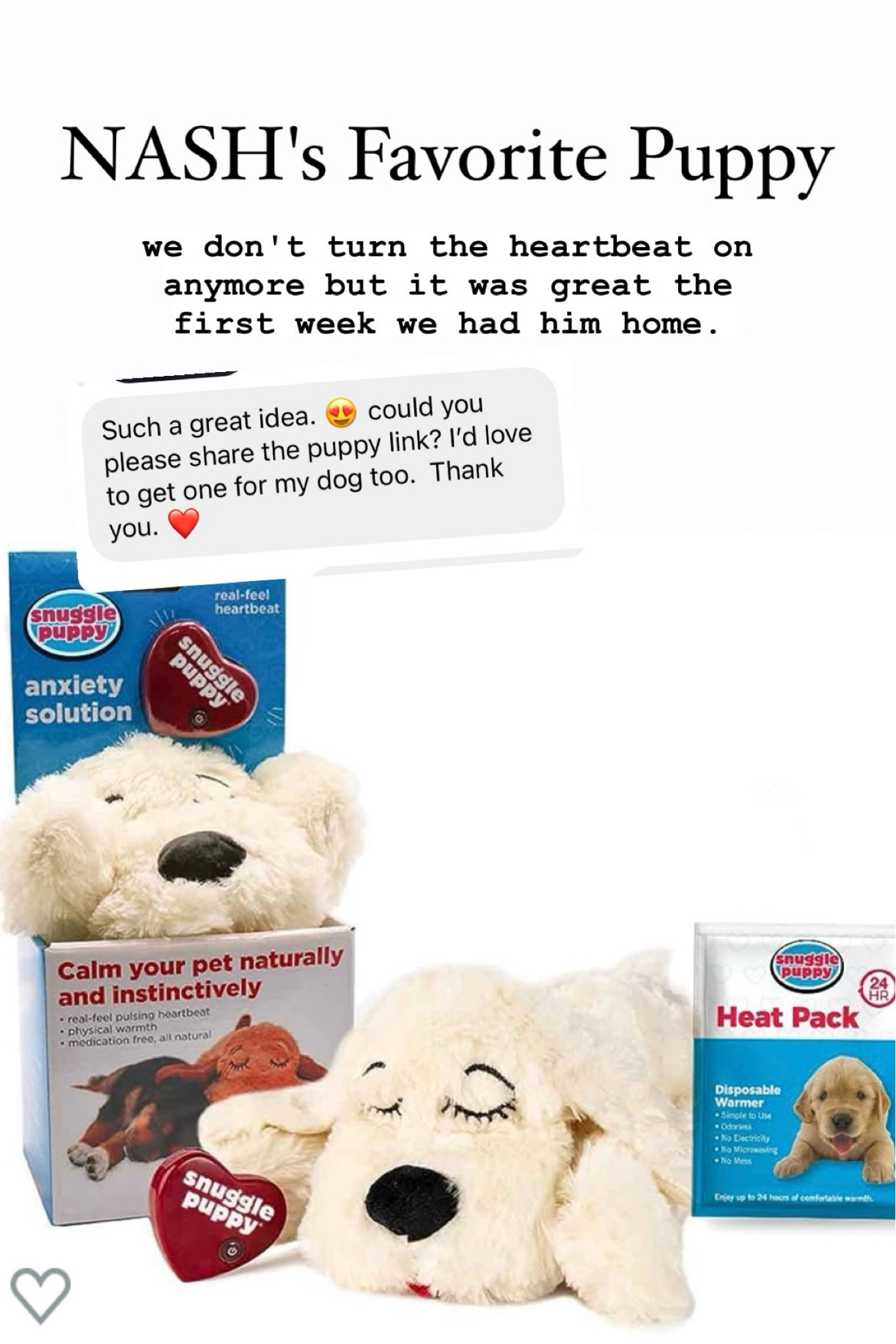 Nash's favorite toy and snuggle buddy🐶