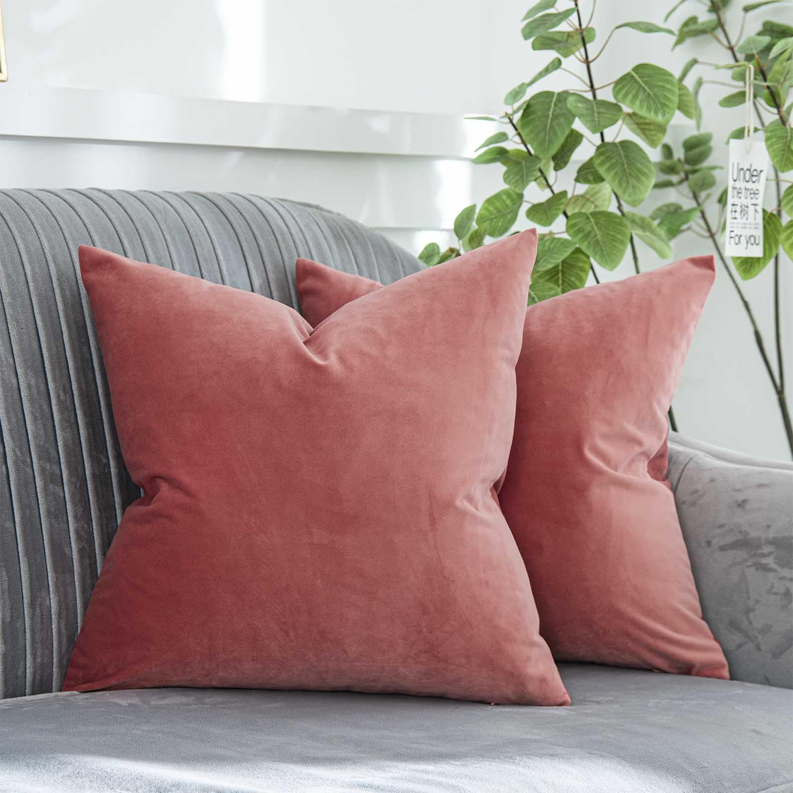 Coral Decorative Velvet Throw Pillow Covers 24x24 inch Set of 2 with Zipper Luxury Soft Solid Squ... | Amazon (US)