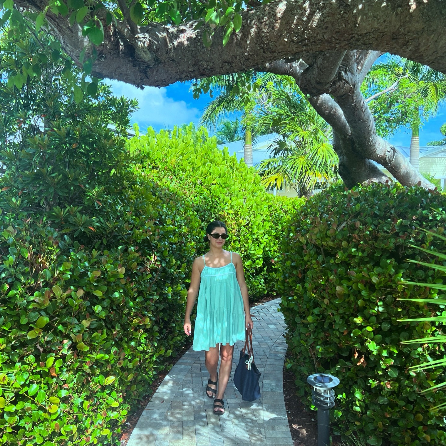 Soaking up all the sun! Happy Labor Day 💚 

Free People dupe, mini dress, green dress, Longchamp tote bag, big buckle sandals, sunglassess

#laborday #floridakeys #camping

#LTKTravel #LTKxPrimeDay #LTKStyleTip