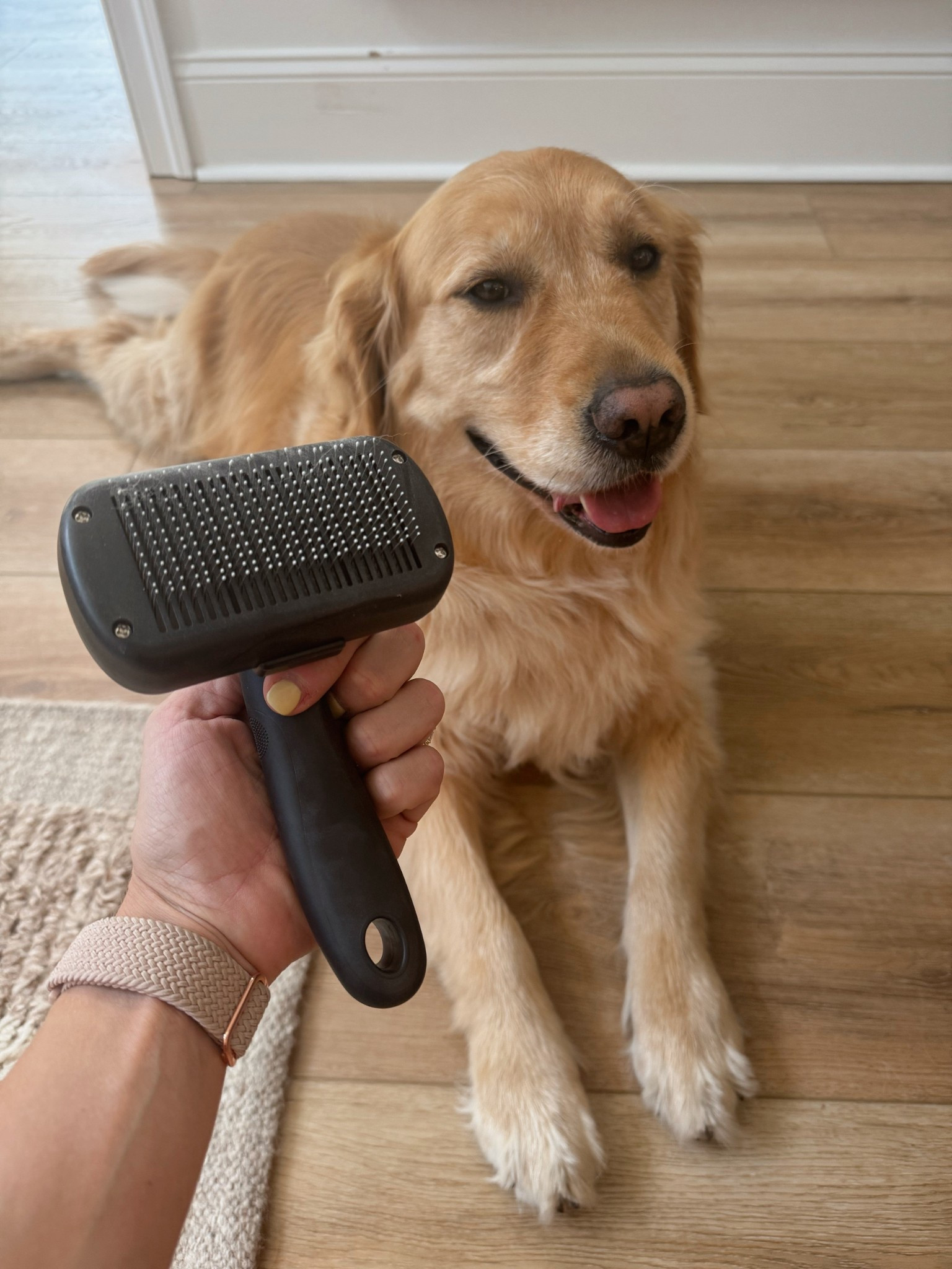Trying to brush the goldens daily and this has been a fave with their long hair! 🐾✨ I also love the deshedding brush but we only use that weekly-ish! 

Dog mom / Kaiser and Kollyns / Amazon / Holley Gabrielle / pet faves 

#LTKSeasonal #LTKPets #LTKFindsUnder50