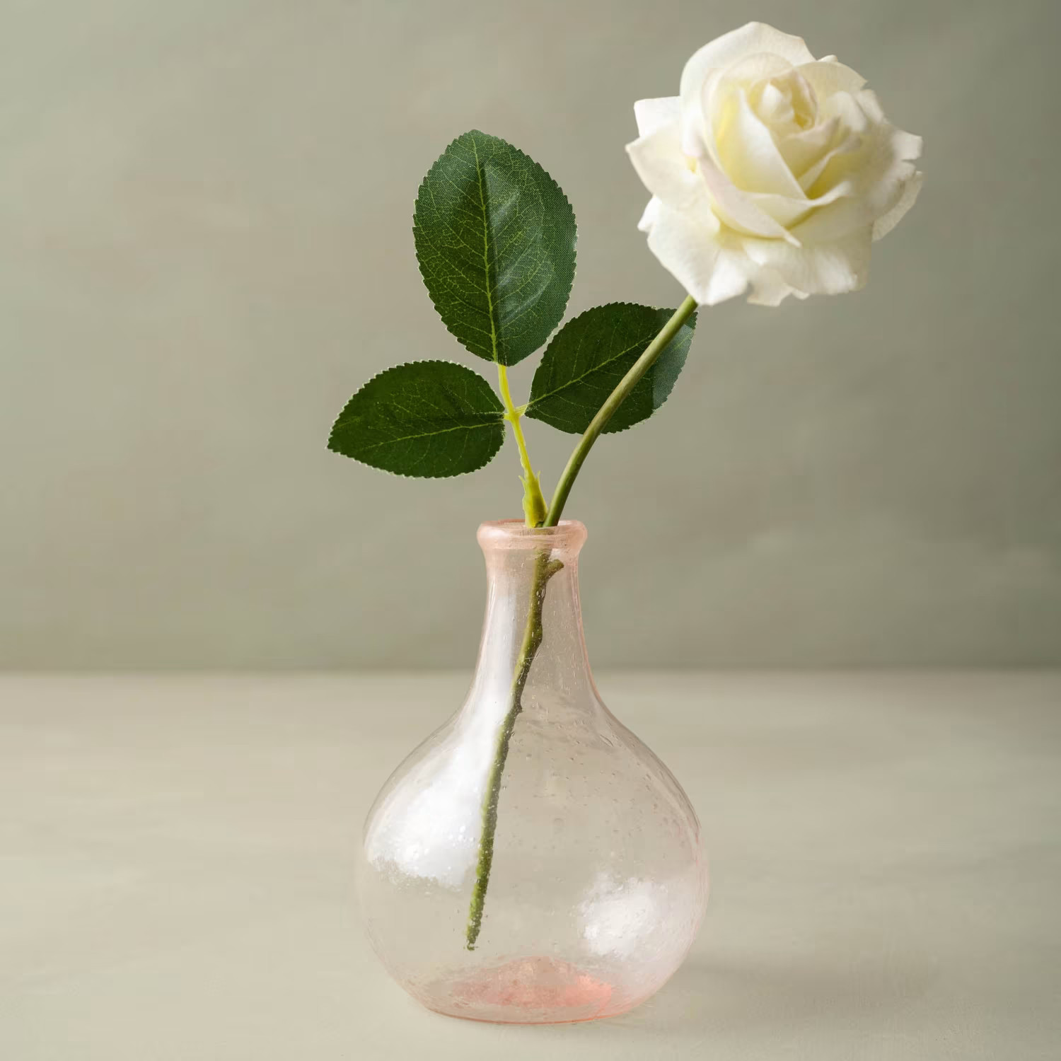 Dutchess Rose | Magnolia