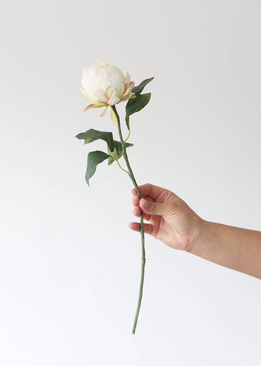 Artificial Flower Peony Bud in Cream - 18" Tall | Afloral (US)