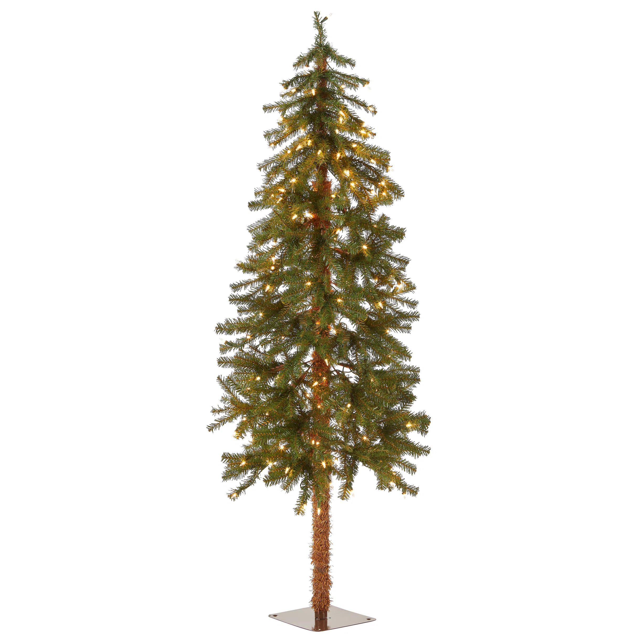 Hickory Cedar Tree | Wayfair North America