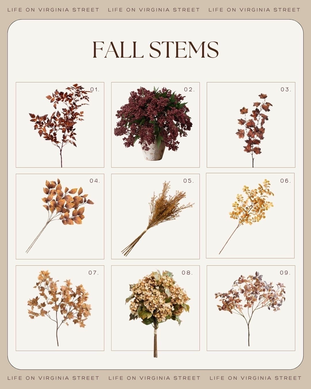 Fall Stems 🙌🏻🙌🏻

#LTKSeasonal #LTKHome #LTKdayinmylife