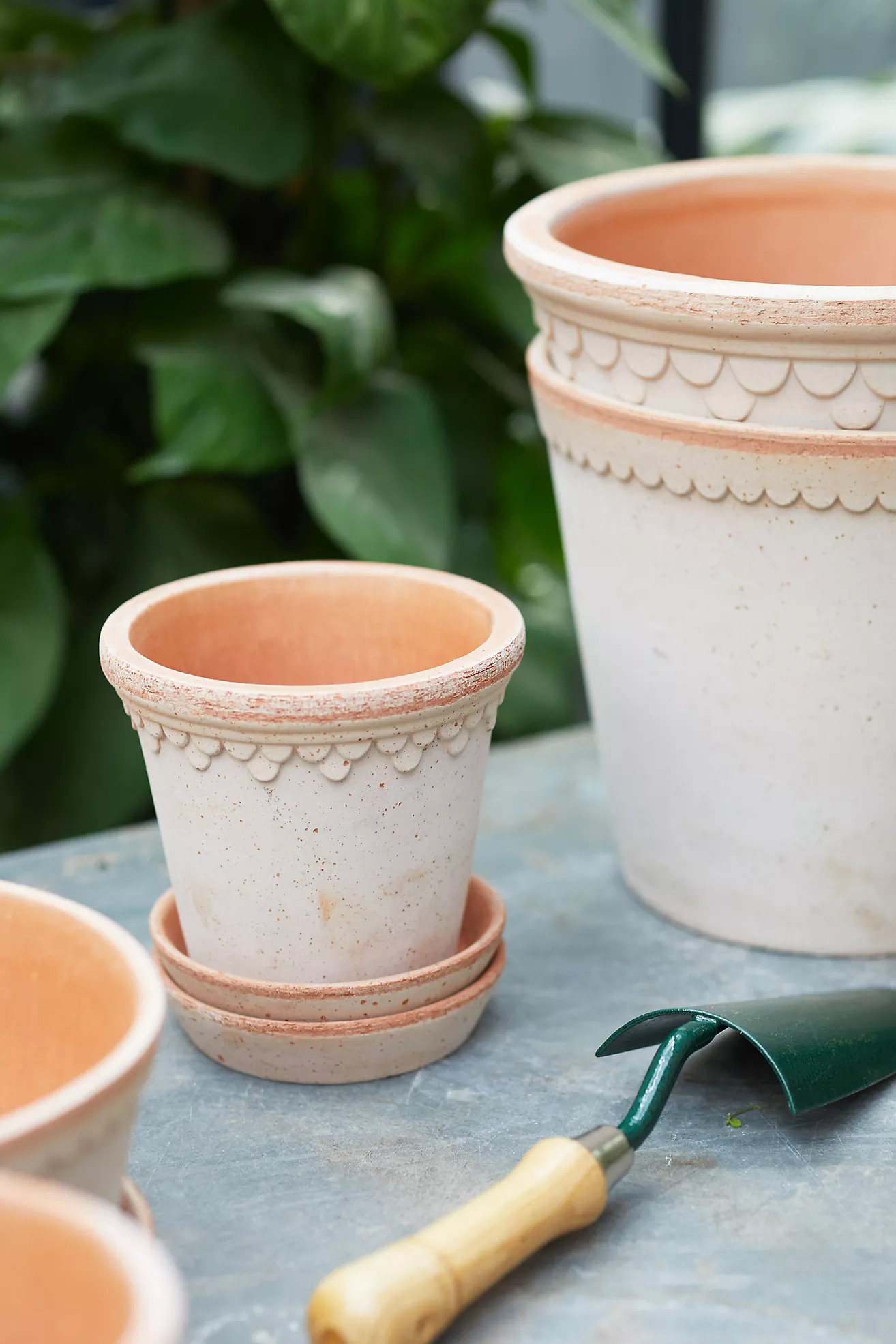 Bergs Copenhagen Terracotta Pot + Saucer Set | Terrain