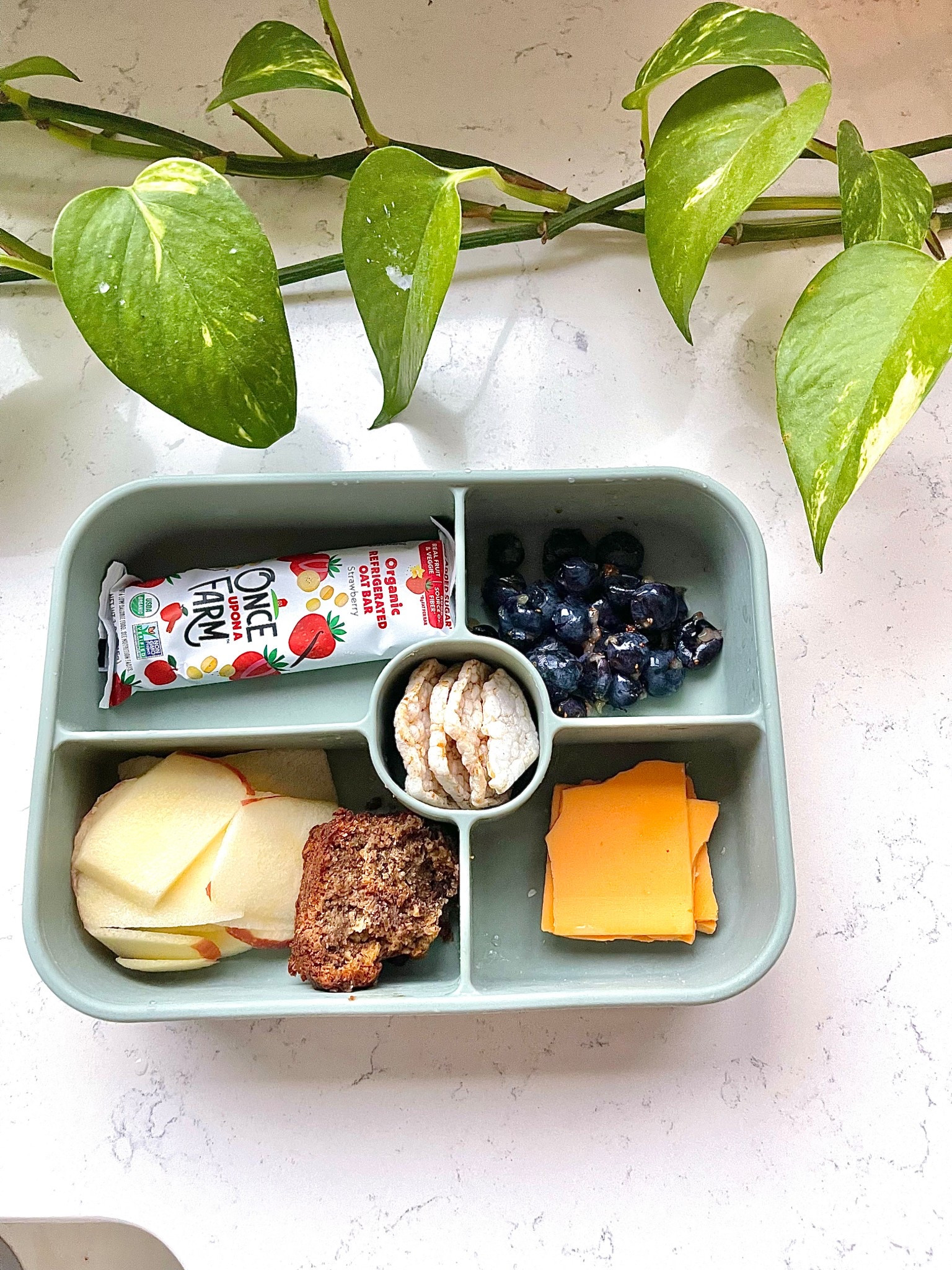 New snack/ lunch boxes all silicone! #LTKFamily 

#LTKKids #LTKHome