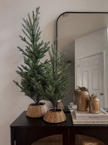 Christmas tree, tabletop tree, sideboard decor, Christmas entryway decor, holiday styling, arched cabinet, Christmas bells, jcPenney, Amazon home, minimalist, simple Christmas decor, faux Christmas tree, rustic Christmas decor

#LTKHoliday 

#LTKSeasonal #LTKhome