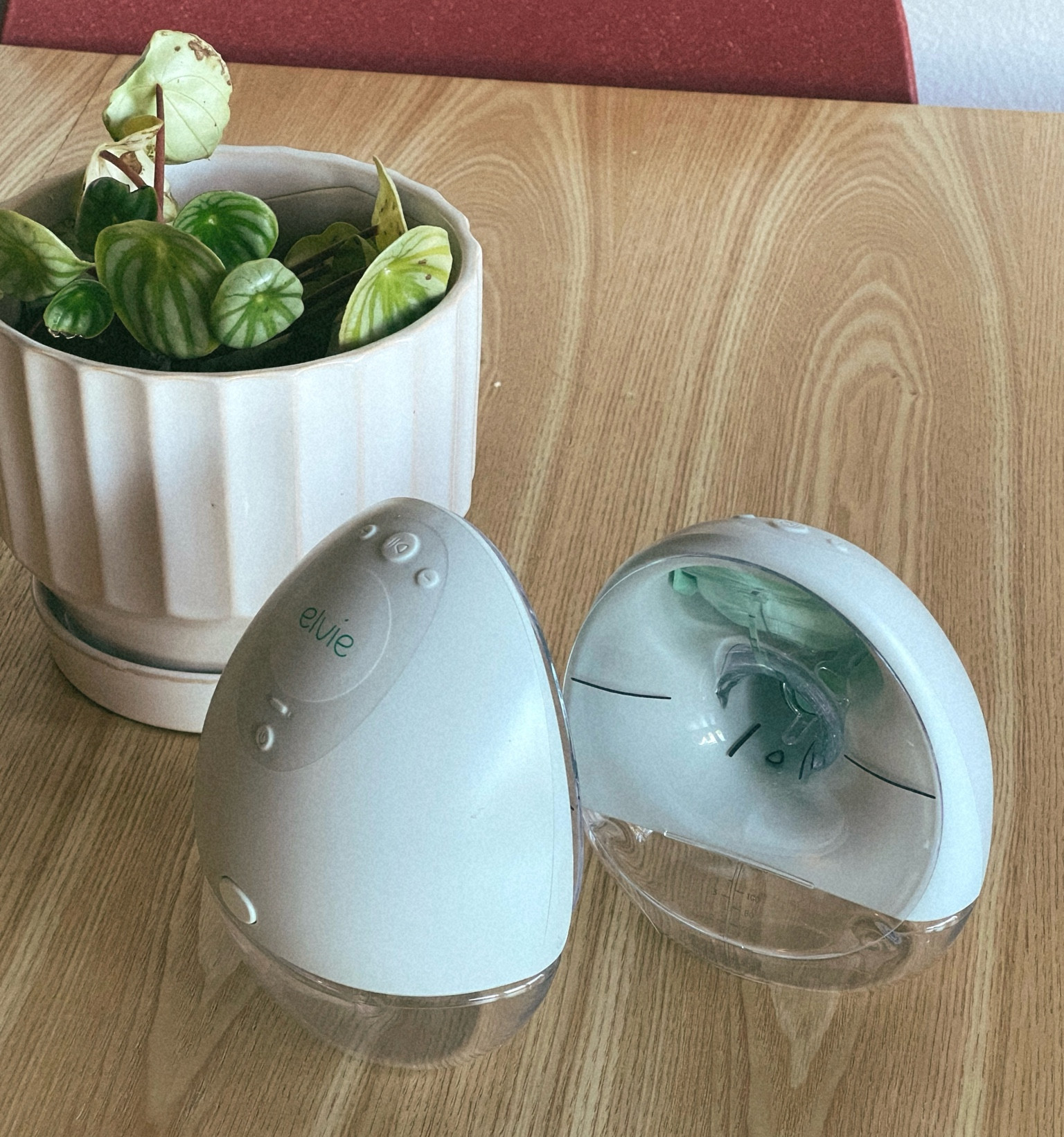 The Elvie wearable pump is on sale right now! If you’re pumping a wearable pump like this one is a life saver and will make your life tons easier! 

#newmom #elvie #elviepump #breastpumps #breastfeeding #wearablepump #breastpump 

#LTKBaby #LTKBump #LTKSaleAlert