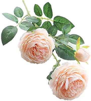 Artfen | Amazon (US)