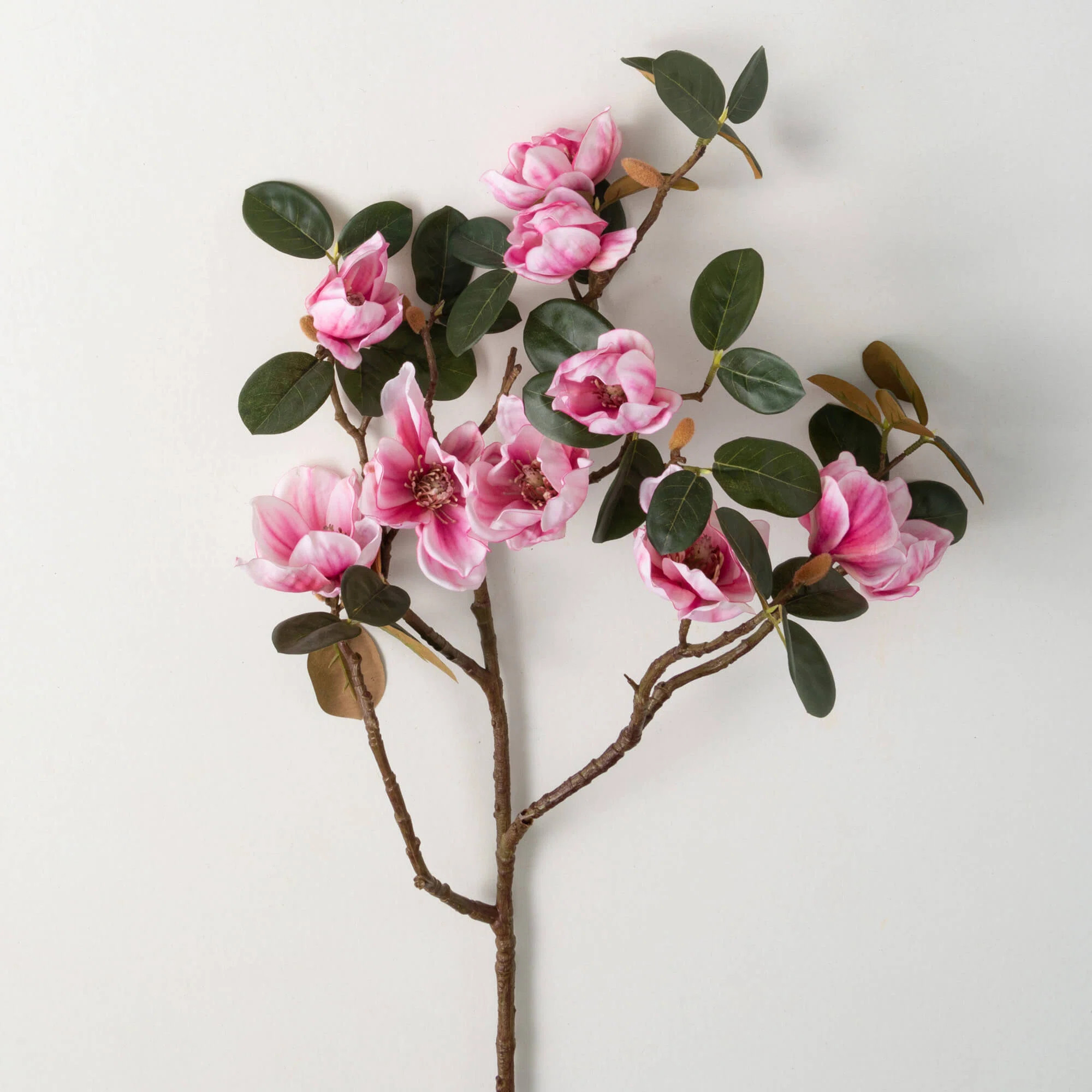 Magnolia Arrangement | Wayfair North America