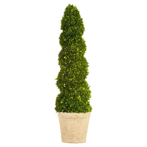 4' Boxwood Topiary in Planter - Preserved - Green - 13" x 13" x 4' | One Kings Lane