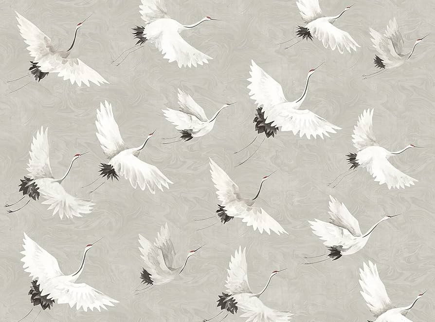 x A-Street Prints ASTM3909 Crane You Later Dove Grey Wall Mural , Gray | Amazon (US)