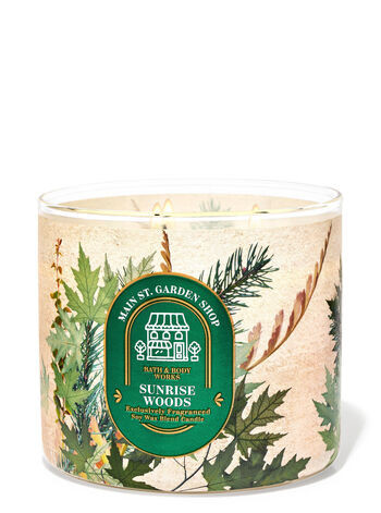$12.95 3-Wick Candles | Bath & Body Works