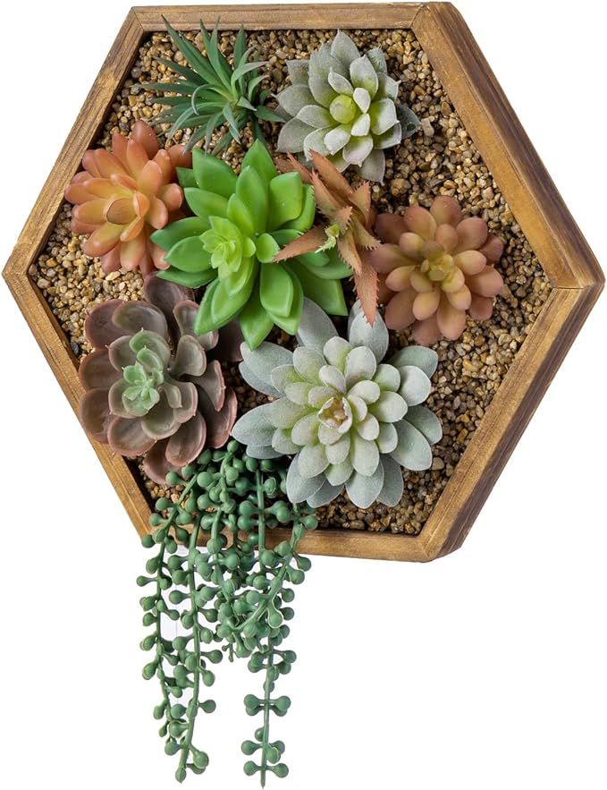 MyGift 3D Art Wall Hanging Succulent Plants, Vertical Hexagonal Rustic Burnt Wood Planter Box, Ar... | Amazon (US)
