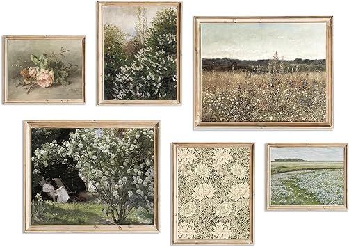 Vintage Wall Art French Country Decor for Bedroom,Vintage Posters for Room Aesthetic Pictures Flo... | Amazon (US)
