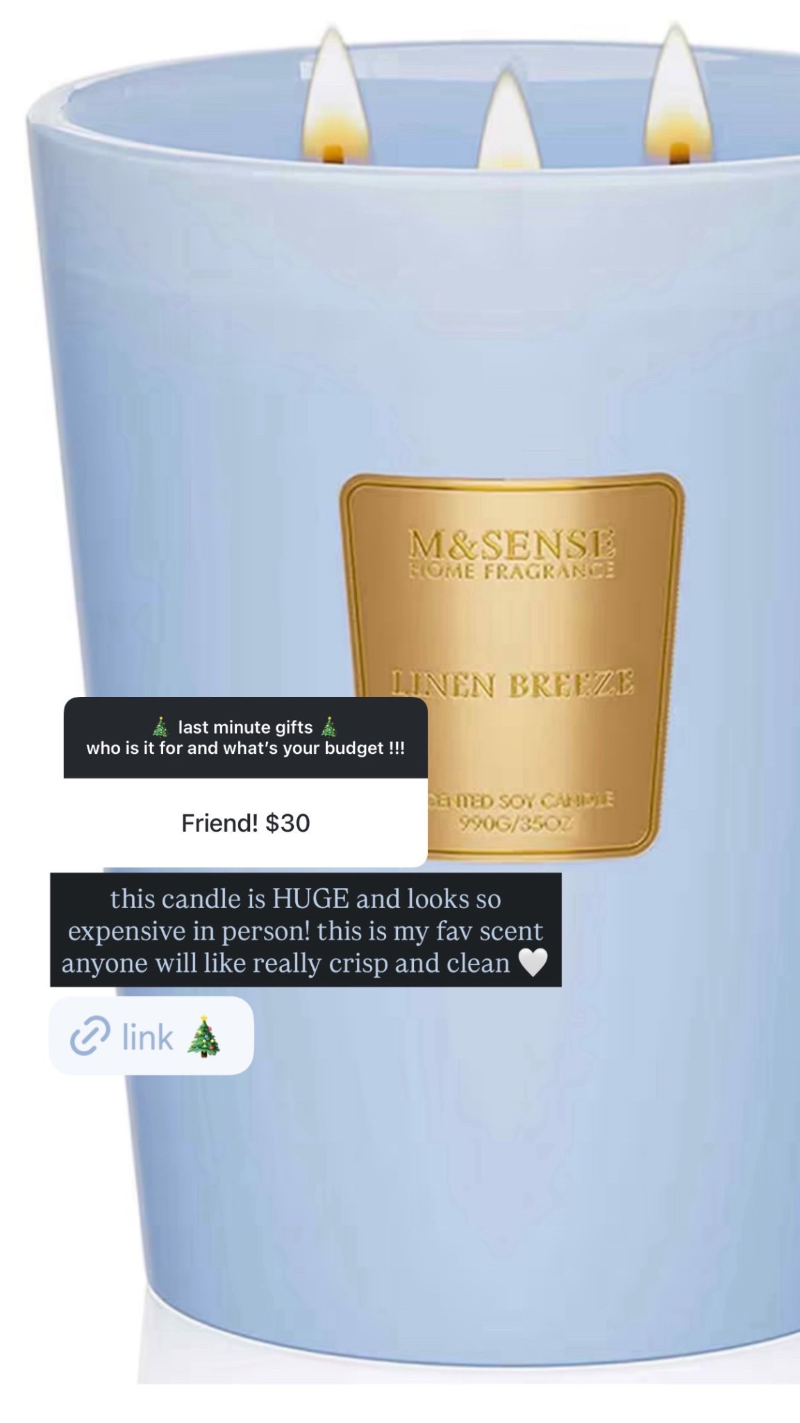 Perfect gift for any friend bc it smells amazing and is a great price!!! Such a big candle with a slow burn! 

#LTKGiftGuide #LTKFindsUnder50 #LTKHoliday