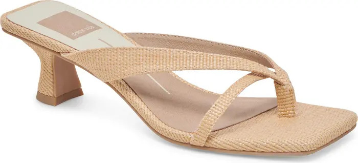 Brevel Kitten Heel Flip Flop (Women) | Nordstrom