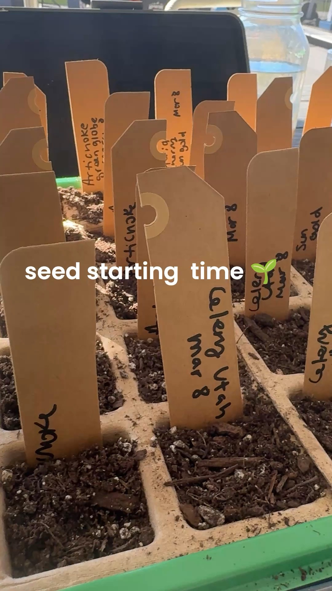 If you’re not starting seeds now it’s soon gonna be too late! Do it asap #señoralife 

#LTKOver40 #LTKselfcare #LTKHome