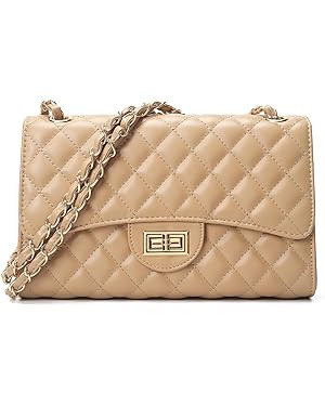 Quilted Leather Crossbody Bags for Women Trendy Ladies Shoulder Purse Satchel HandBag with Chain ... | Amazon (US)