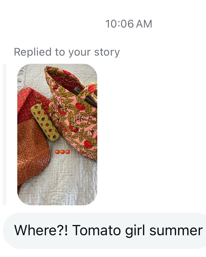 tomato girl summer bag, vitamin vase, and pouch for traveling. 

#LTKSeasonal #LTKTravel #LTKFindsUnder50