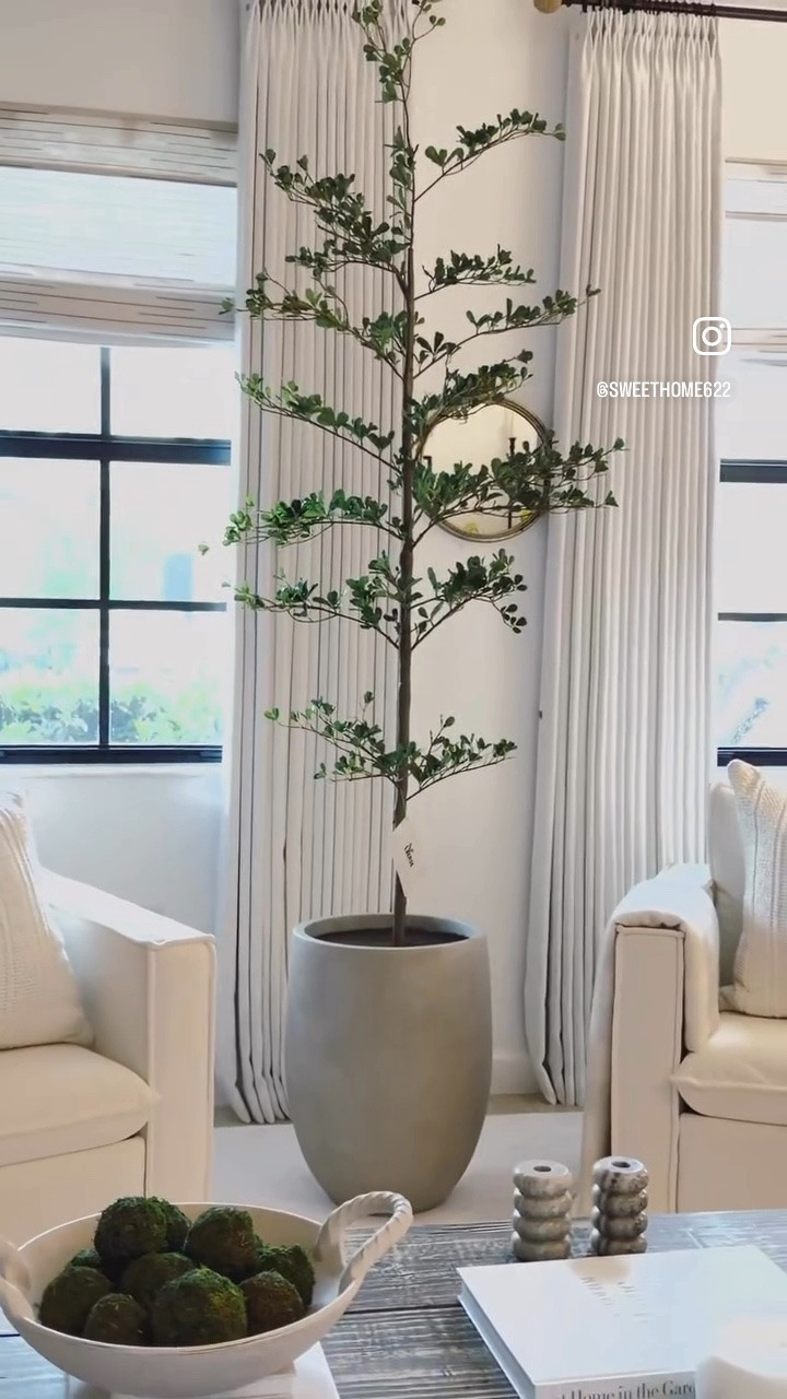 Black Olive Tree.

#LTKHome #LTKSaleAlert #LTKSeasonal
