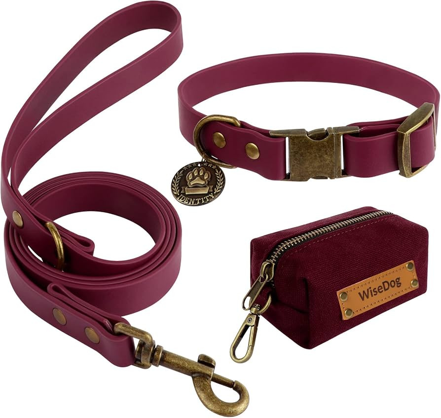 Wisedog Dog Collar and Leash Set Combo: Adjustable Durable Pet Collars with Dog Leashes for Small... | Amazon (US)
