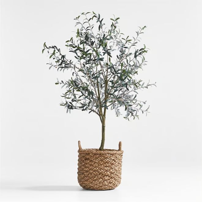 Emlyn Basket & Faux Olive Tree 7' Arrangement + Reviews | Crate & Barrel | Crate & Barrel