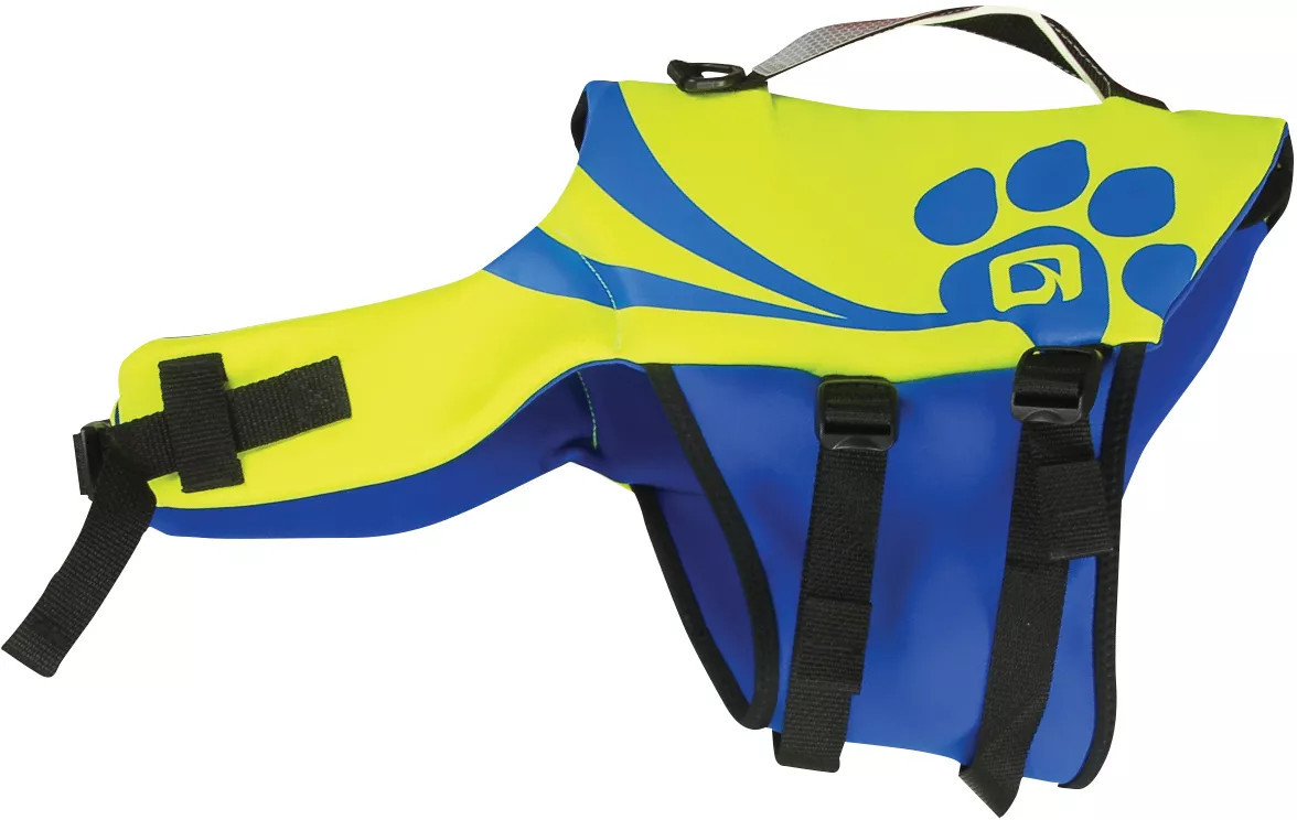O'Brien Nylon Pet Life Vest, Lake | DICK'S Sporting Goods