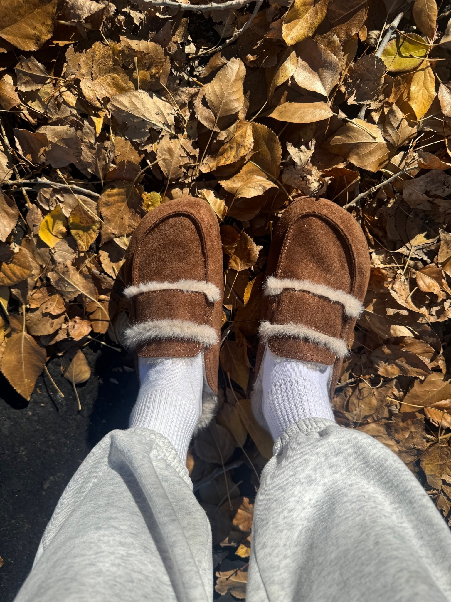 I found a target version of these HM slippers you all LOVED!  library before they sell out!

#LTKShoeCrush #LTKSaleAlert #LTKStyleTip