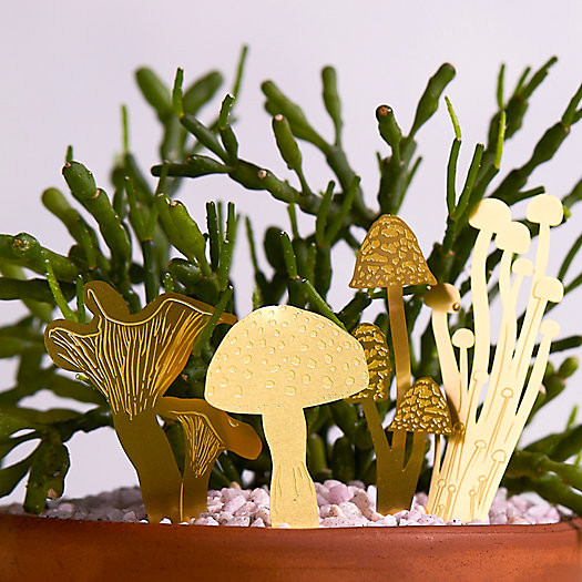 Mini Brass Mushroom Stakes | Terrain