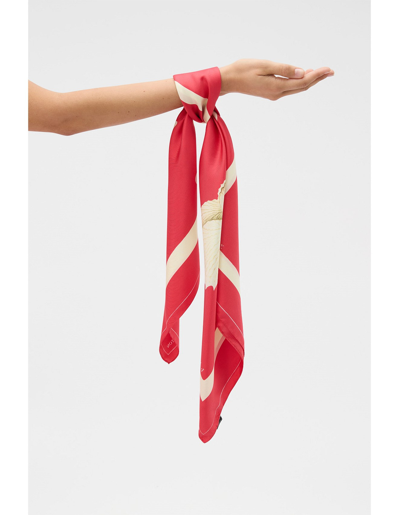 GRAPHIC SHELL SILK SCARF | David Jones (Australia & New Zealand)