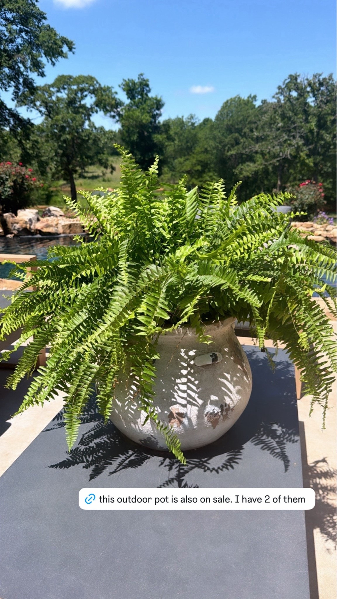 Black Friday in July sale!

#LTKHome #LTKSaleAlert