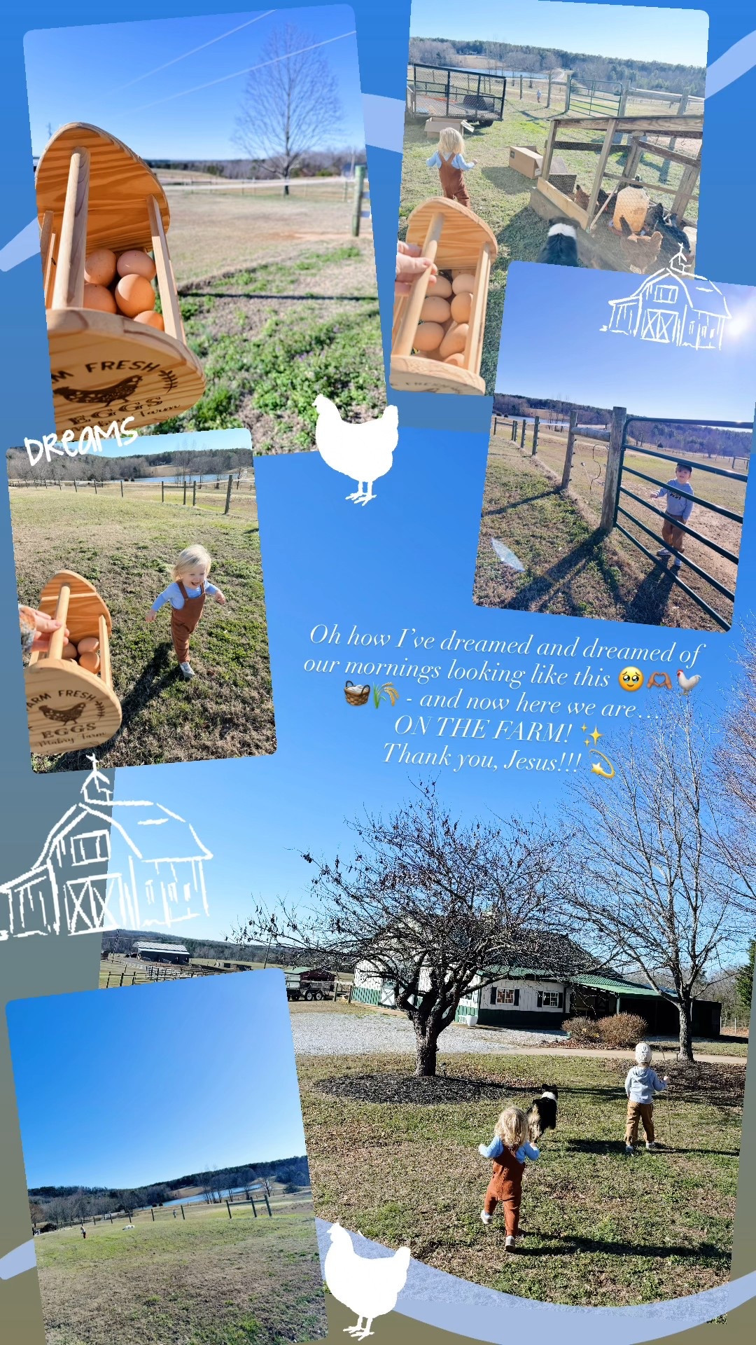 Oh how I’ve dreamed and dreamed of our mornings looking like this 🥹🫶🏽🐓🧺🌾 - and now here we are… 
ON THE FARM! ✨ 
Thank you, Jesus!!! 💫 