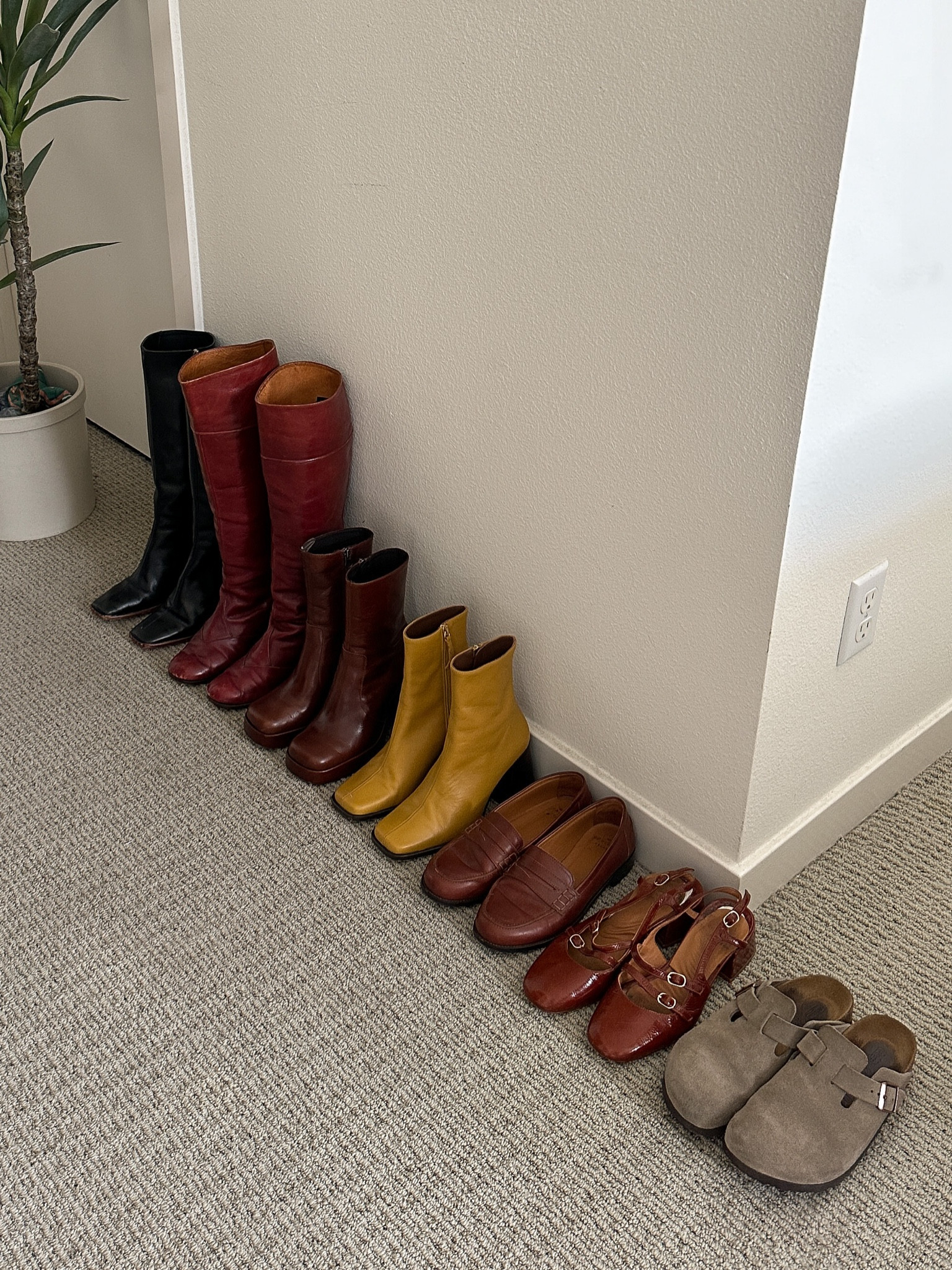 fall shoe lineup 🍂
