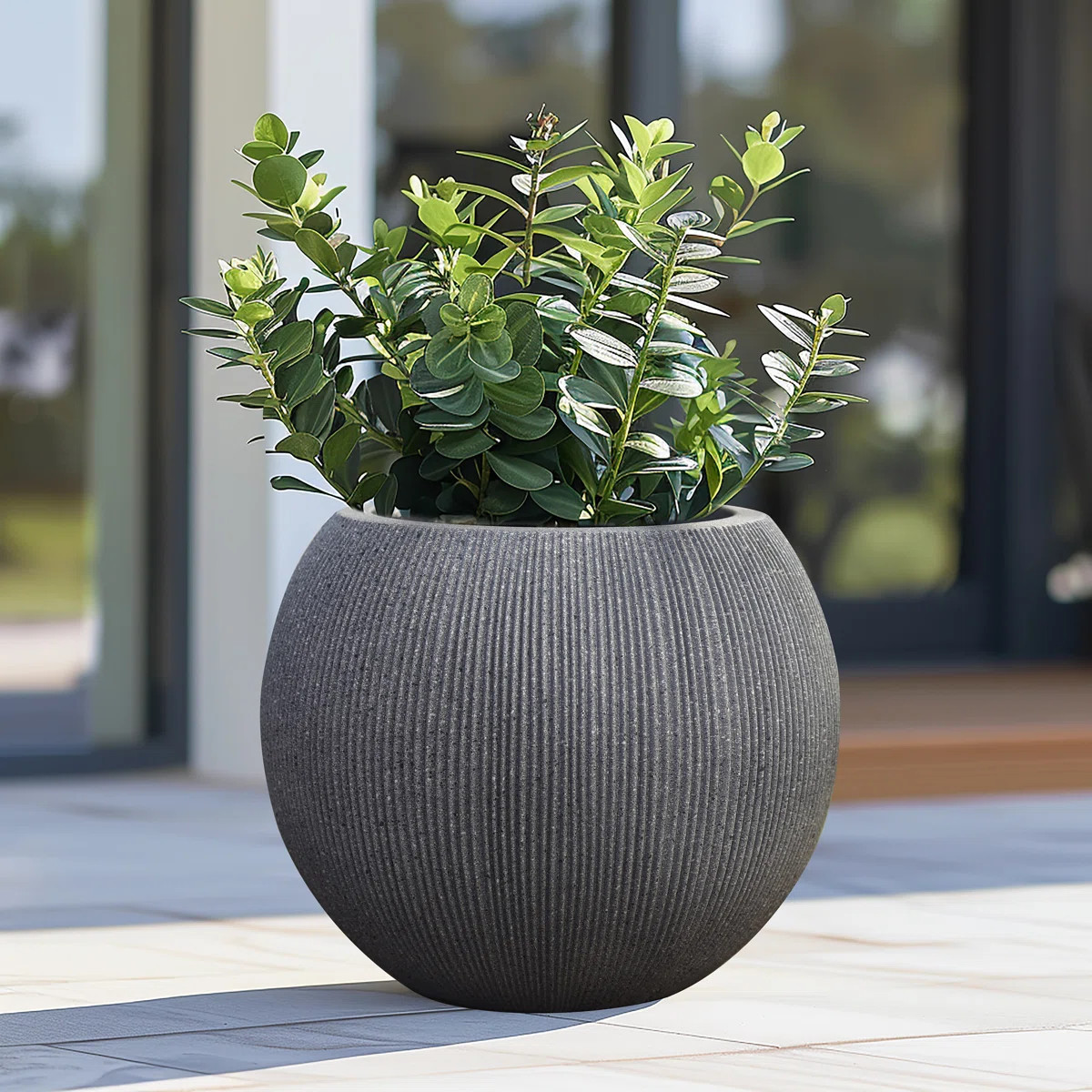 Anjonette 14.5" Mediterranean Round Bowl Plastic Pot Planter | Wayfair North America