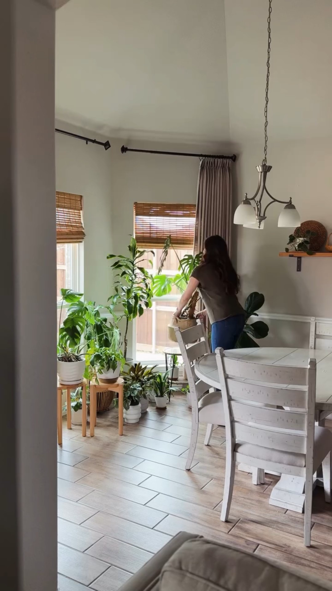 Ya me hacía falta darle cariño a mis plantas 🪴 espero te sirvan estos tips y si quieres los productos comenta Planta y te envío los enlaces 

#homedecor #houseplants #monsteradeliciosa #plantsindecor #latinaenusa