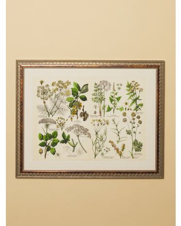 20x25 Types Of Leaves Wall Art In Frame | HomeGoods