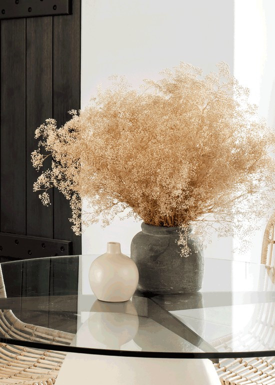 Preserved Natural Gypsophila Flowers - 10-28 | Afloral (US)