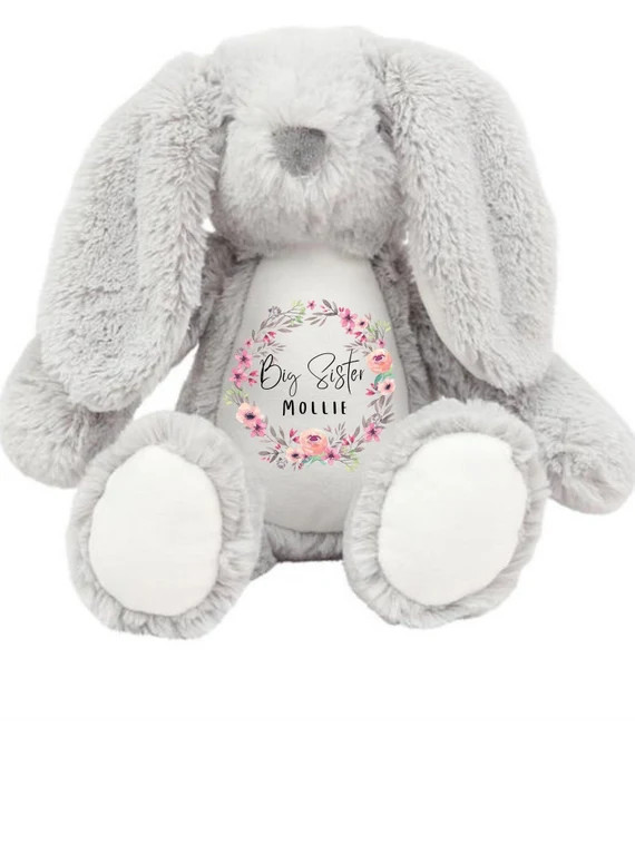 Big Sister Gift, Big Sister Pending, Big Sister Teddy, Soft Toy, Baby Gift | Etsy (US)