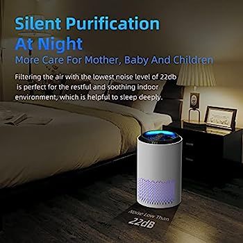 Amazon.com: AROEVE Air Purifiers for Home, H13 HEPA Air Purifiers Air Cleaner For Smoke Pollen Da... | Amazon (US)