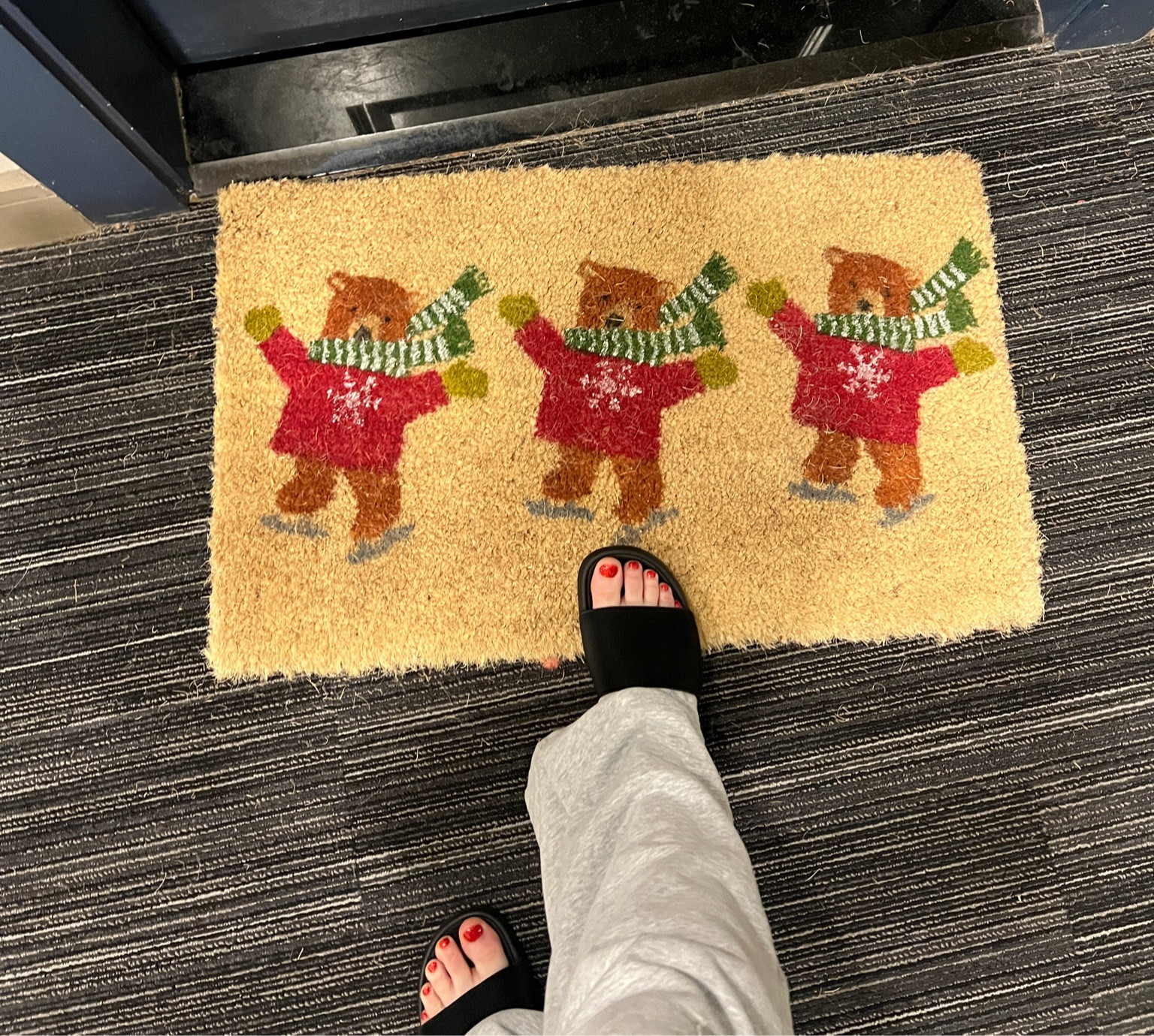 Our little holiday door mat🎄❄️ Crate & Barrel doesn’t carry the exact design (this is from 2019) but we love the reindeer one! 

#LTKSeasonal #LTKhome #LTKGiftGuide