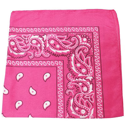 Mechaly Paisley 100% Polyester Bandana (Hot Pink) | Target